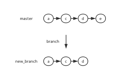 branch